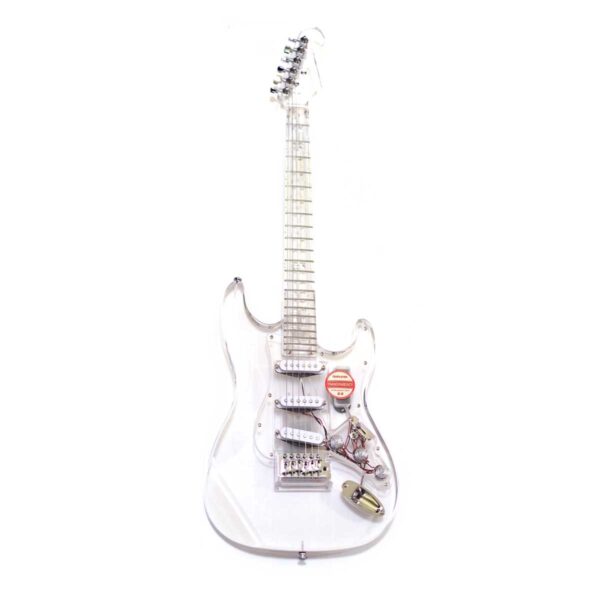 TAXPLAYER Guitar